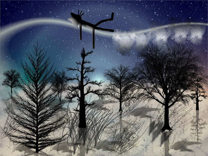 Silhouetted Trees at Night — Black, Serene