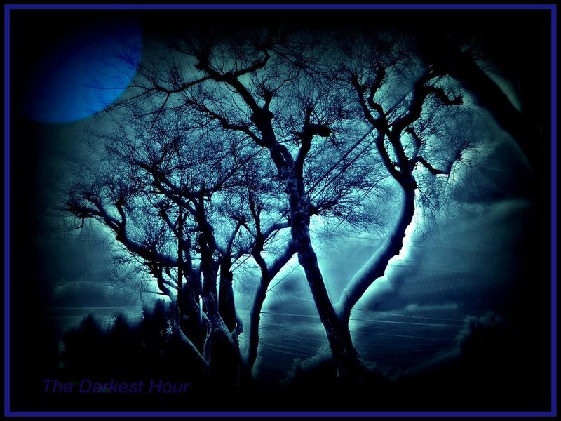 Silhouetted Trees at Night — Blue, Dark, Digital Art