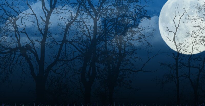 Silhouetted Trees at Night — Blue, Dark