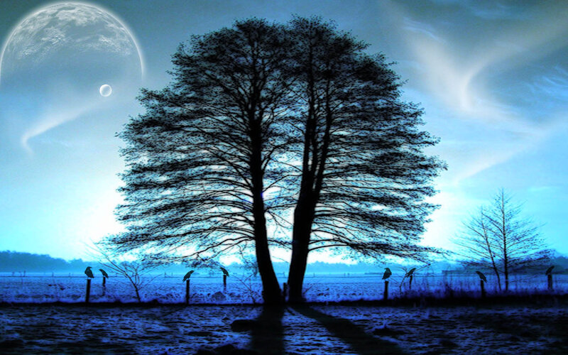 Silhouetted Trees at Night — Blue, Dramatic, Digital Art