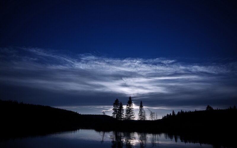 Silhouetted Trees at Night — Blue, Serene, Photograph