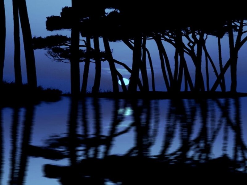 Silhouetted Trees at Night — Blue