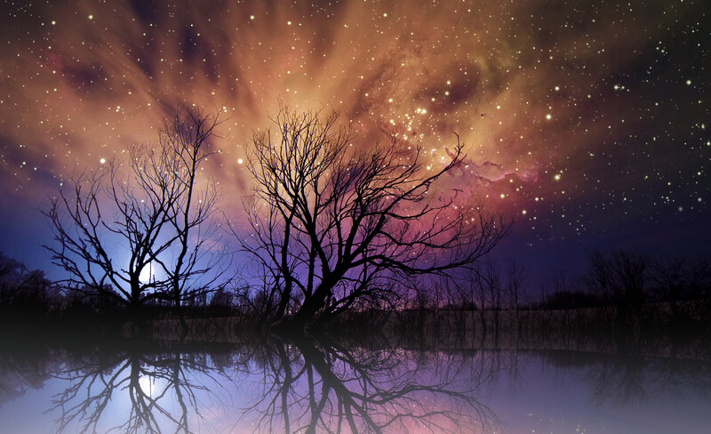 Silhouetted Trees at Night — Purple, Dramatic, Digital Art