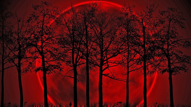 Silhouetted Trees at Night — Red, Dramatic, Digital Art, Moon