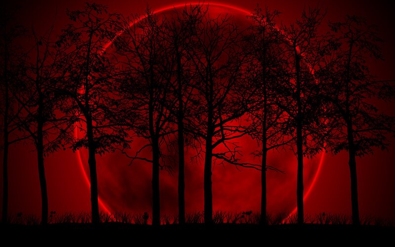 Silhouetted Trees at Night — Red, Dramatic, Digital Art