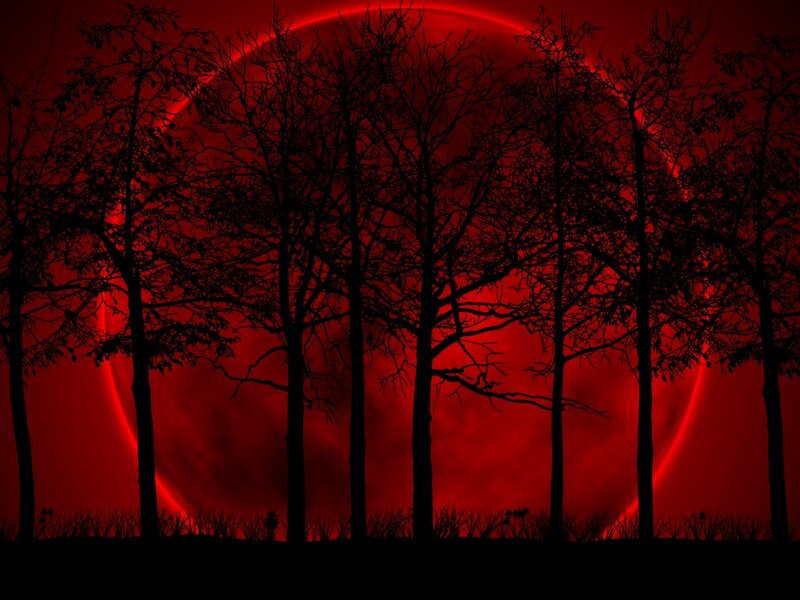 Silhouetted Trees at Night — Red, Dramatic