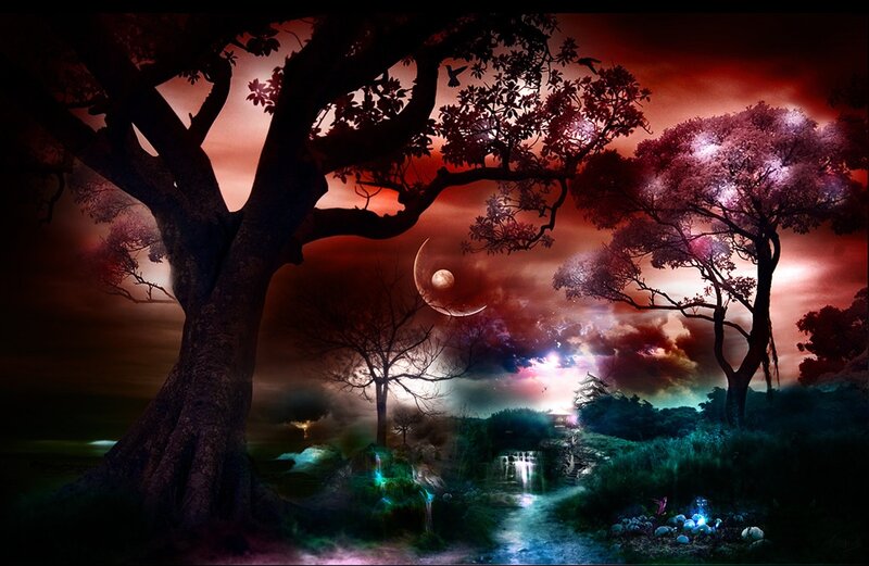 Silhouetted Trees at Night — Red