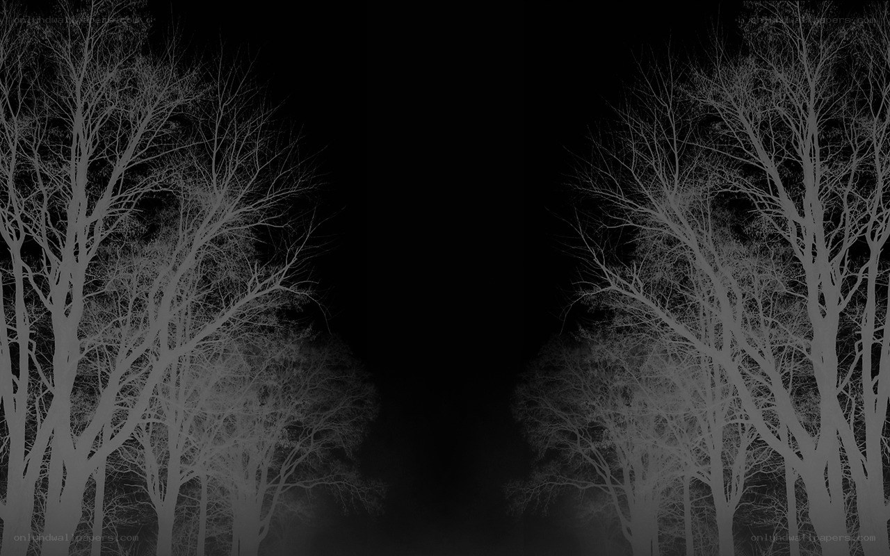 Silhouetted trees at night