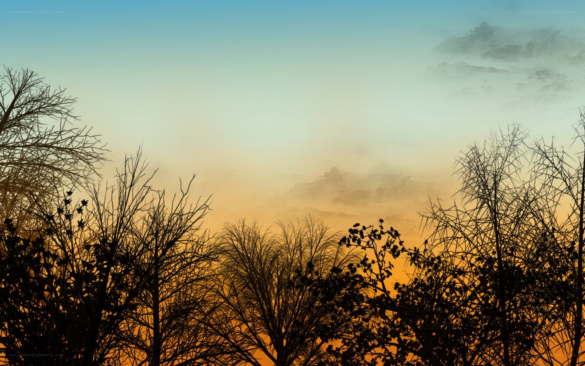Silhouetted trees at sunrise