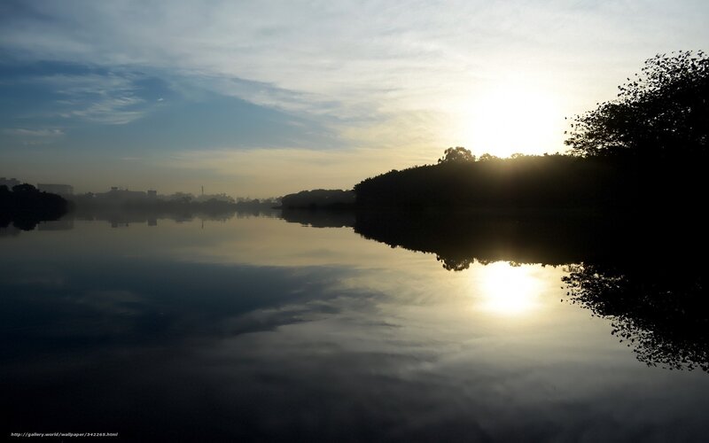 Silhouetted Trees at Sunrise — Blue