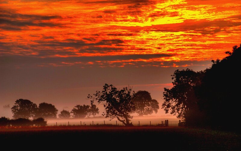 Silhouetted Trees at Sunrise — Orange, Dramatic, Photograph, Fence