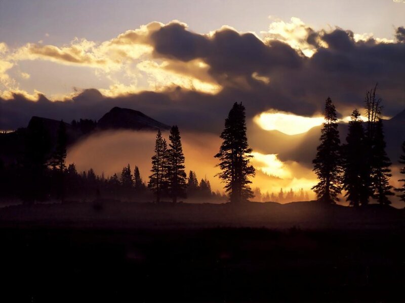 Silhouetted Trees at Sunrise — Orange, Dramatic, Photograph, Mountains, Clouds