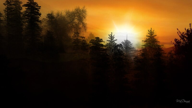 Silhouetted Trees at Sunrise — Orange, Serene, Digital Art