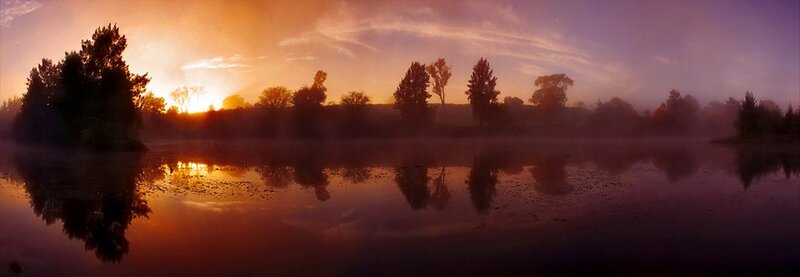 Silhouetted Trees at Sunrise — Orange, Serene, Photograph, Fog