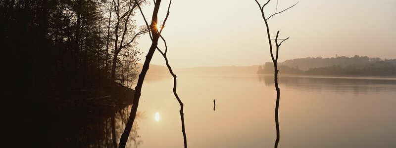 Silhouetted Trees at Sunrise — Orange, Serene, Photograph, Lake