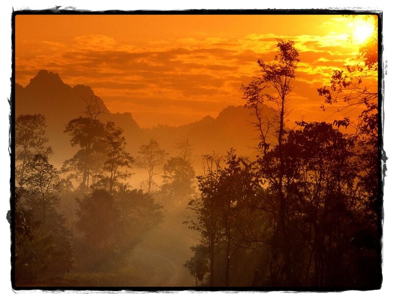 Silhouetted Trees at Sunrise — Orange, Serene, Photograph, Mountains