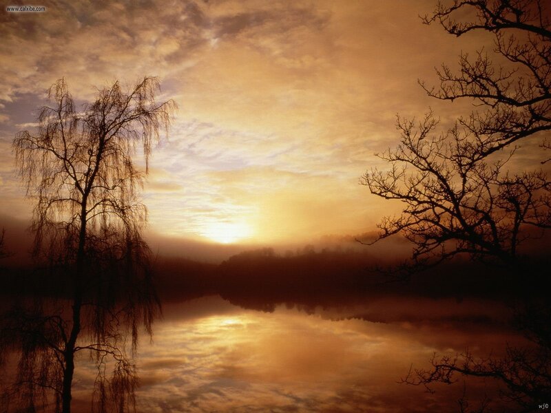 Silhouetted Trees at Sunrise — Orange, Serene, Photograph