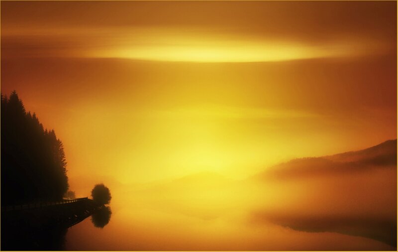 Silhouetted Trees at Sunrise — Yellow, Serene, Photograph, Fog
