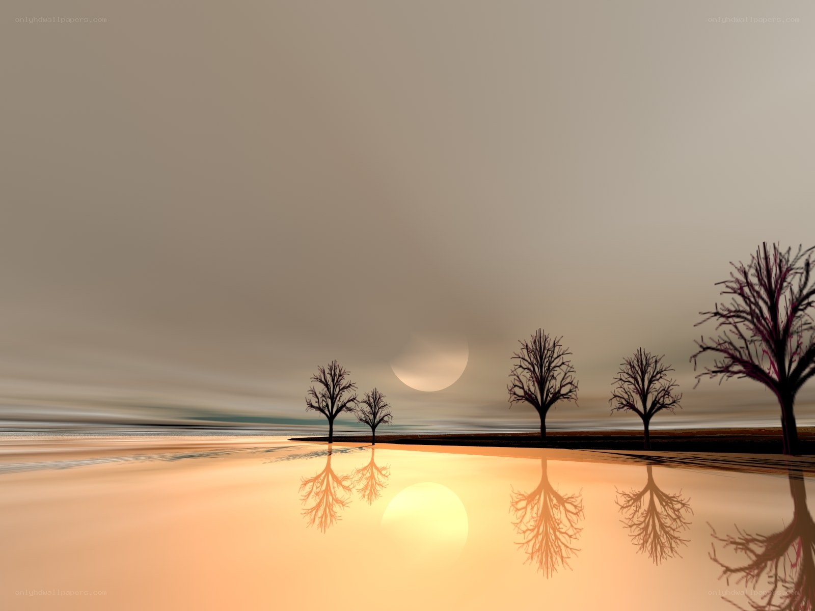 Silhouetted trees at sunset