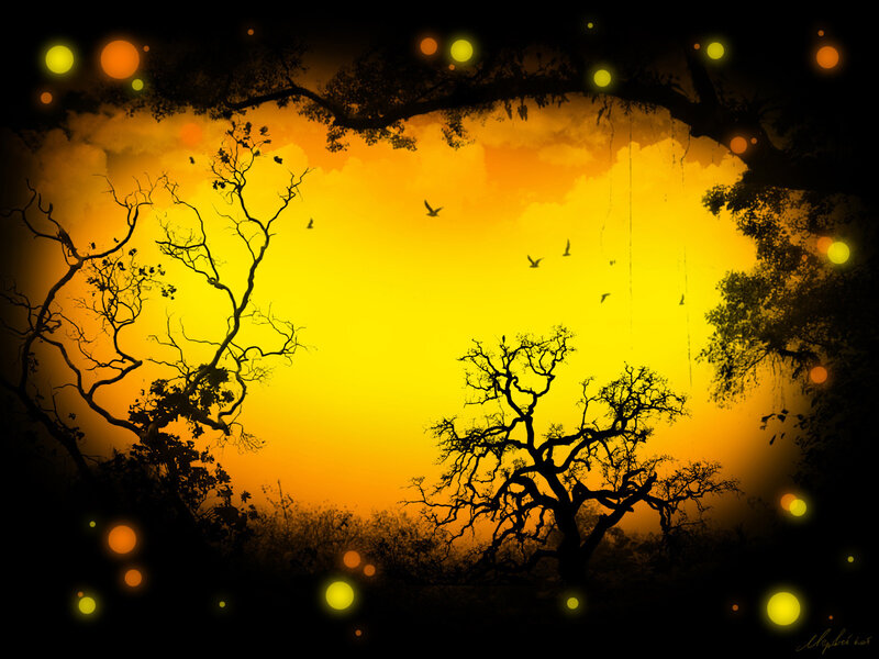 Silhouetted trees at sunset