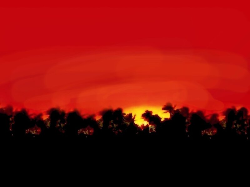 Silhouetted trees at sunset