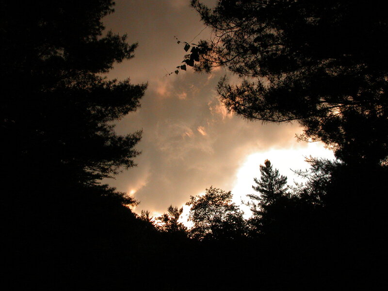 Silhouetted Trees at Sunset — Black, Dramatic, Photograph, Sky, Clouds, Orange