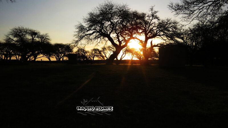 Silhouetted Trees at Sunset — Black, Dramatic, Photograph