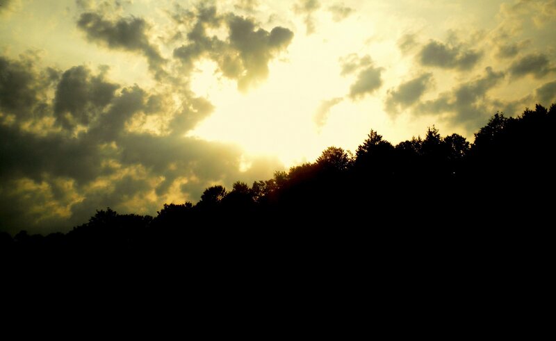 Silhouetted Trees at Sunset — Black, Dramatic