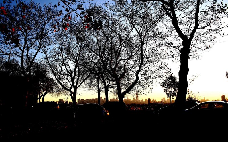 Silhouetted Trees at Sunset — Black, Serene, Photograph, Cars