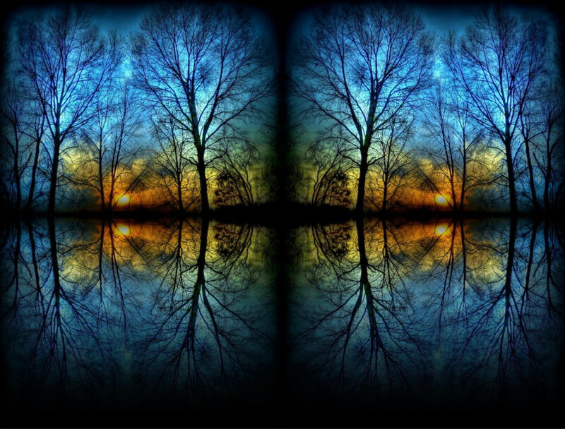 Silhouetted Trees at Sunset — Blue, Dramatic, Digital Art, Reflection