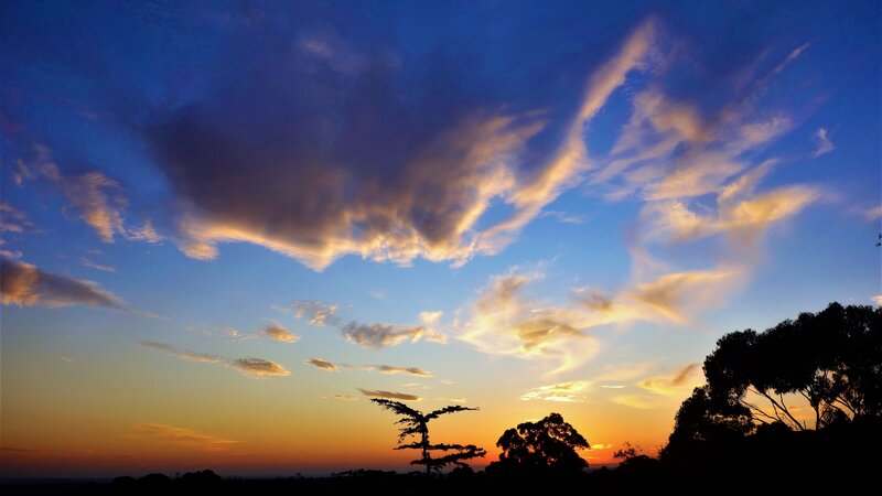 Silhouetted Trees at Sunset — Blue, Dramatic, Photograph, Clouds, Sky