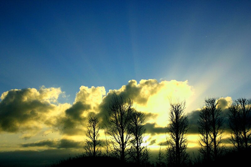 Silhouetted Trees at Sunset — Blue, Dramatic, Photograph, Clouds, Sunlight