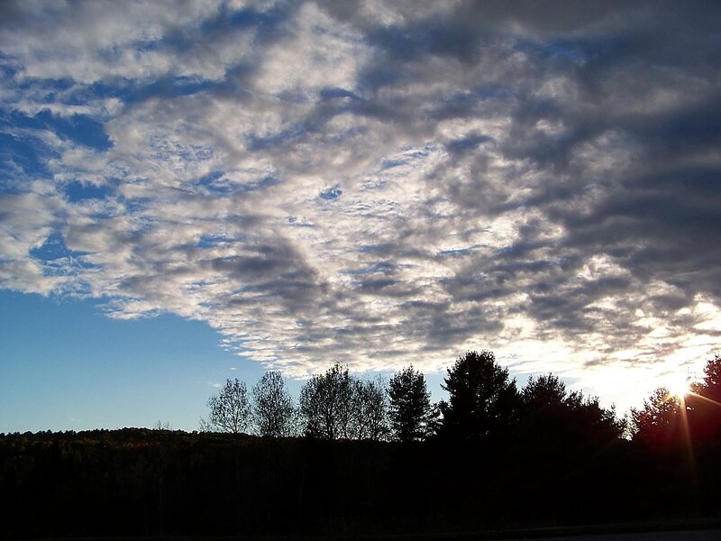 Silhouetted Trees at Sunset — Blue, Dramatic, Photograph, Clouds