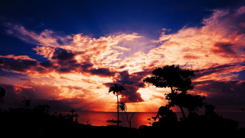 Silhouetted Trees at Sunset — Blue, Dramatic, Photograph, Ocean