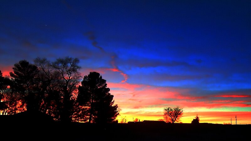 Silhouetted Trees at Sunset — Blue, Dramatic, Photograph, Sky, Clouds, Horizon