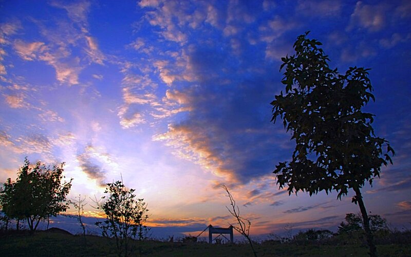 Silhouetted Trees at Sunset — Blue, Dramatic, Photograph, Sky, Clouds, Structure