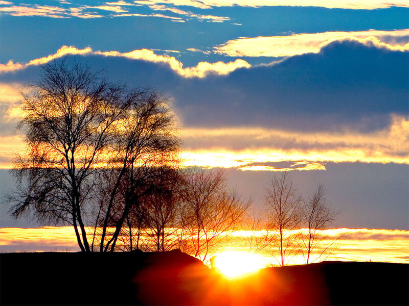 Silhouetted Trees at Sunset — Blue, Dramatic, Photograph, Sky, Sun