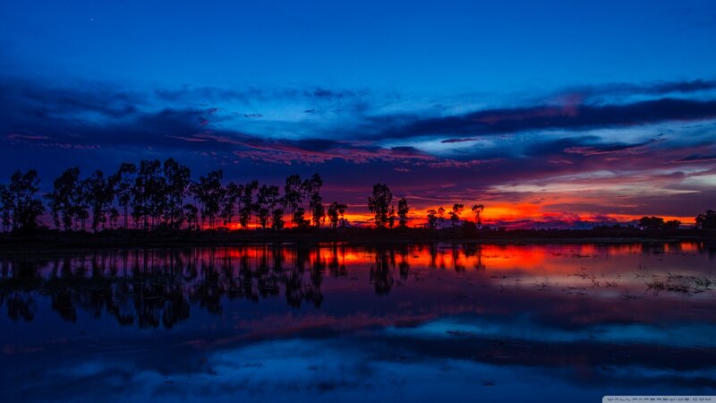 Silhouetted Trees at Sunset — Blue, Dramatic, Photograph, Sky, Water