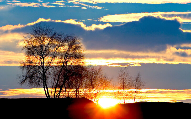 Silhouetted Trees at Sunset — Blue, Dramatic, Photograph, Sun, Clouds, Orange, Black