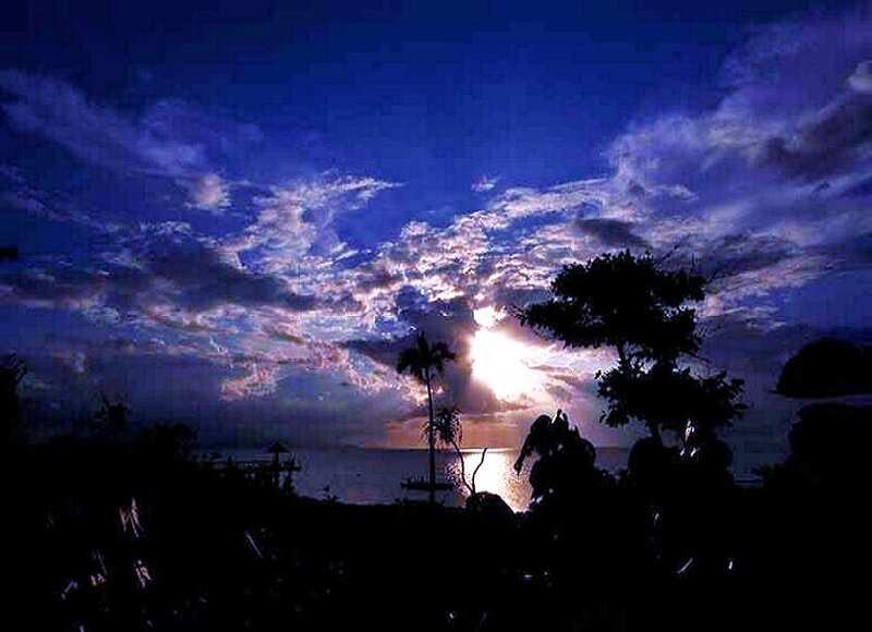 Silhouetted Trees at Sunset — Blue, Dramatic, Photograph, Sun, Ocean