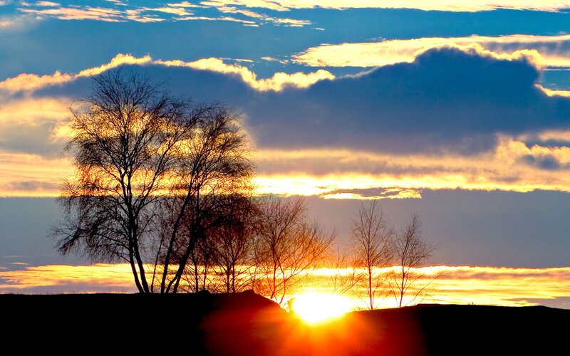 Silhouetted Trees at Sunset — Blue, Dramatic, Photograph, Sun
