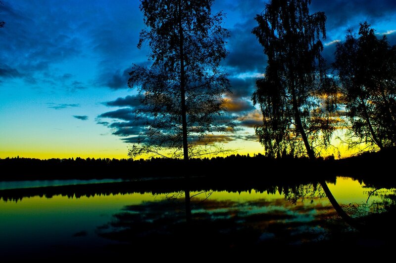 Silhouetted Trees at Sunset — Blue, Dramatic, Photograph