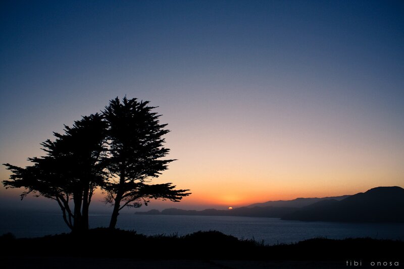 Silhouetted Trees at Sunset — Blue, Serene, Photograph, Ocean