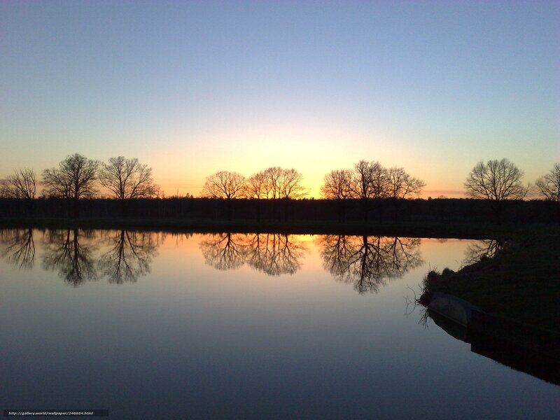Silhouetted Trees at Sunset — Blue, Serene, Photograph, River, Sky