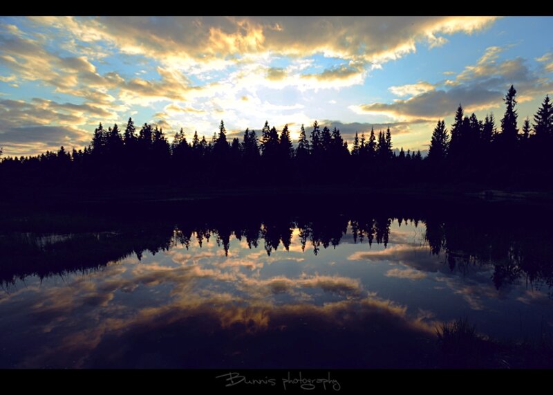 Silhouetted Trees at Sunset — Blue, Serene, Photograph, Sky, Clouds, Reflection