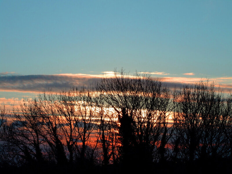 Silhouetted Trees at Sunset — Blue, Serene, Photograph, Sky, Clouds, Sun
