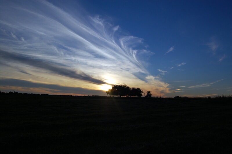Silhouetted Trees at Sunset — Blue, Serene, Photograph, Sky, Clouds