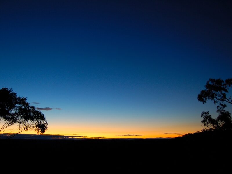Silhouetted Trees at Sunset — Blue, Serene, Photograph, Sky, Horizon, Orange