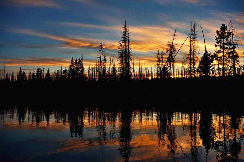 Silhouetted Trees at Sunset — Blue, Serene, Photograph, Sky, Reflection