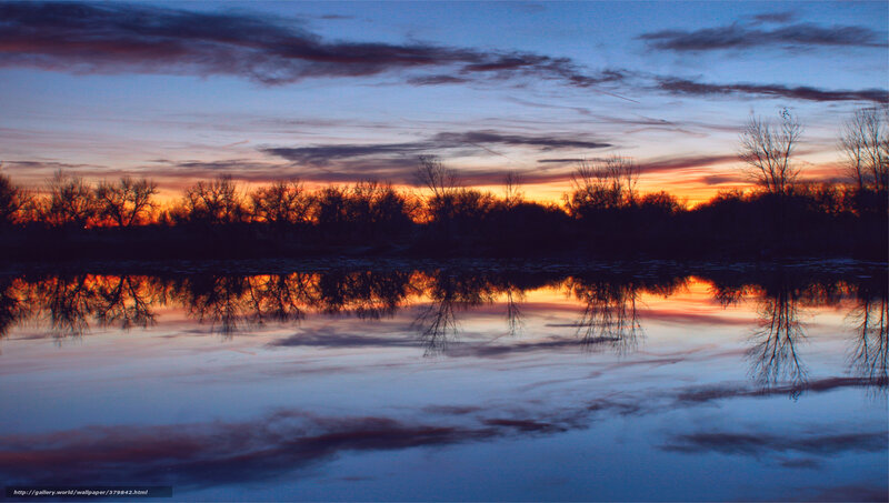 Silhouetted Trees at Sunset — Blue, Serene, Photograph, Sky, Reflection, Water
